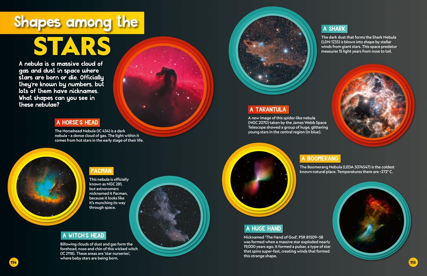 Weird but true! 2026: wild and wacky facts & photos!