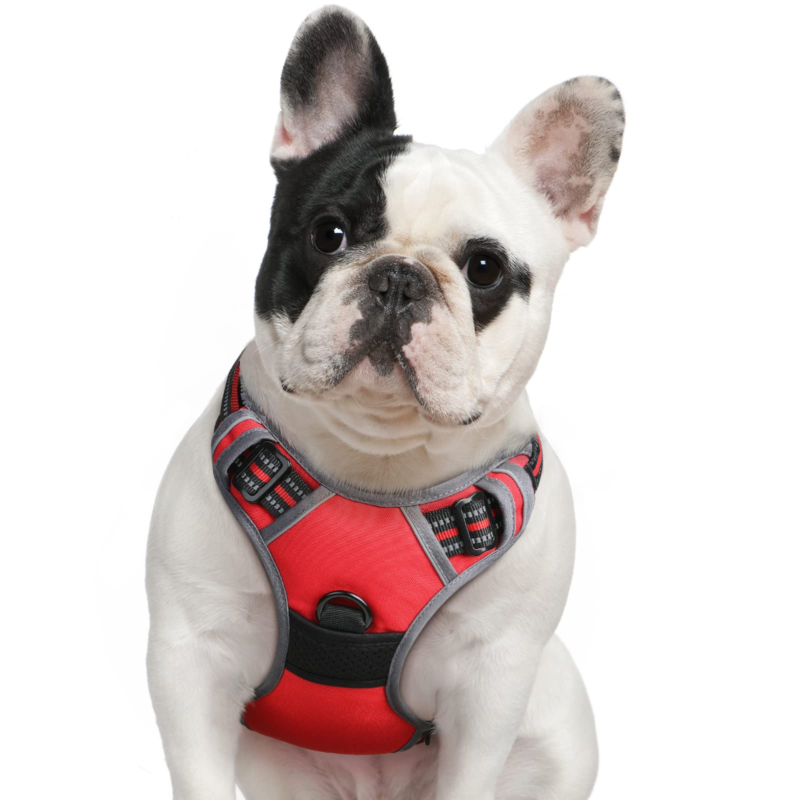 Eagloo Pettorina Cane Taglia Media, Pettorina ad h Antifuga, Imbracatura per Cani Anti Tiro con Doppio Gancio, Imbracatura Robusto e Regolabile per Addestramento Passeggiate, M, Rossa