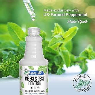 Mighty Mint Peppermint Oil Insect Repellent Spray – Natural Indoor & Outdoor Bug Control for Spiders, Ants, Roaches, and More – Plant-Based, Extra-Strong Formula - 16 oz (Pack of 2)