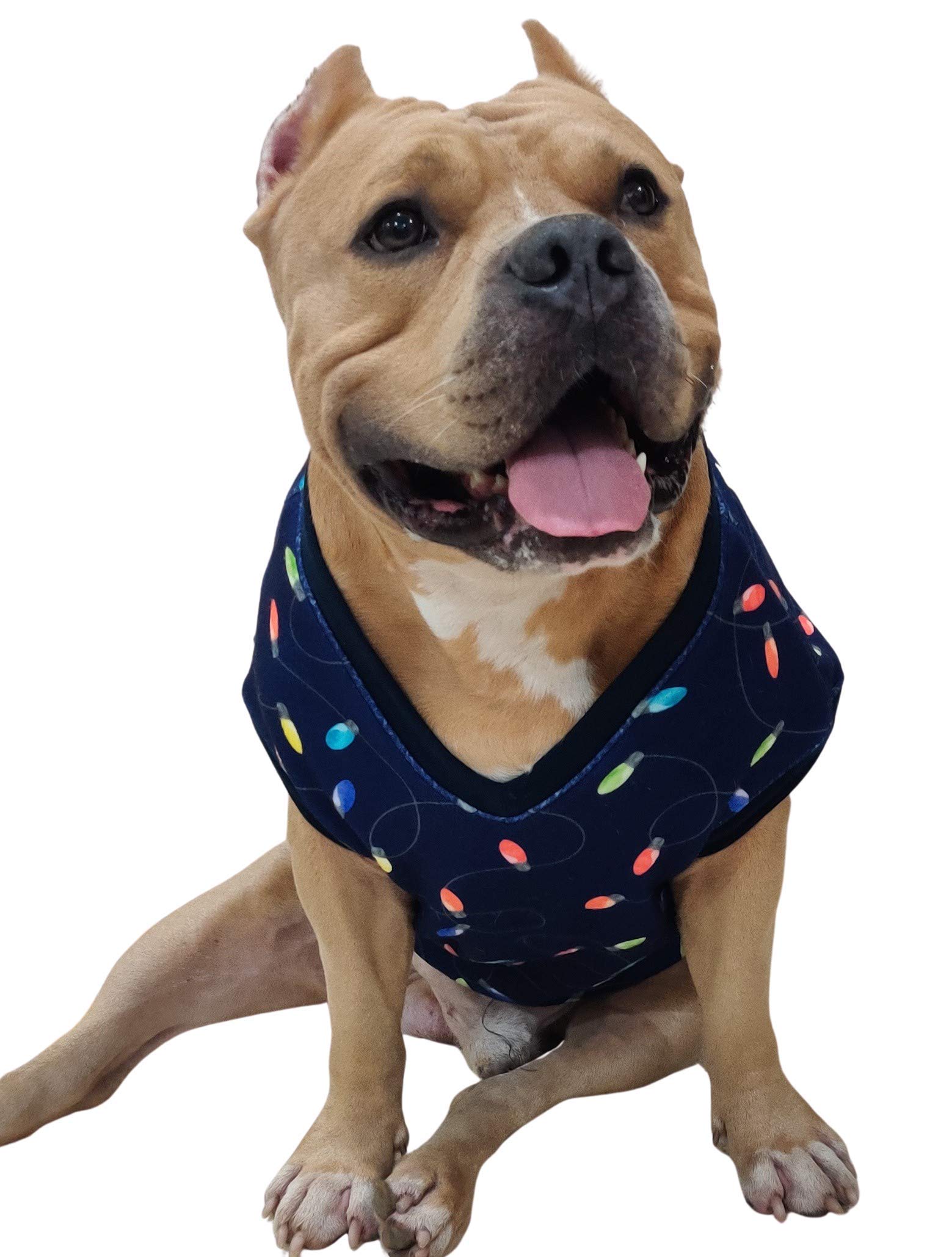 See full amazon price history chart for Sweater Xtra Small to Xtra Large, Enlightened Puppy Sweater - 12 Sweater Xtra Small to Xtra Large, Enlightened Puppy Sweater - 12 (B08P9SR1XK) Amazon Price History, Amazon Price Tracker