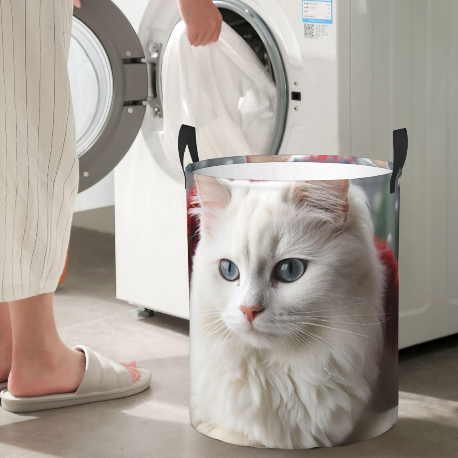 Jack&Rose Reise Dampfglätter - Ultraleichter Handsteamer Mit 15s Aufheizzeit