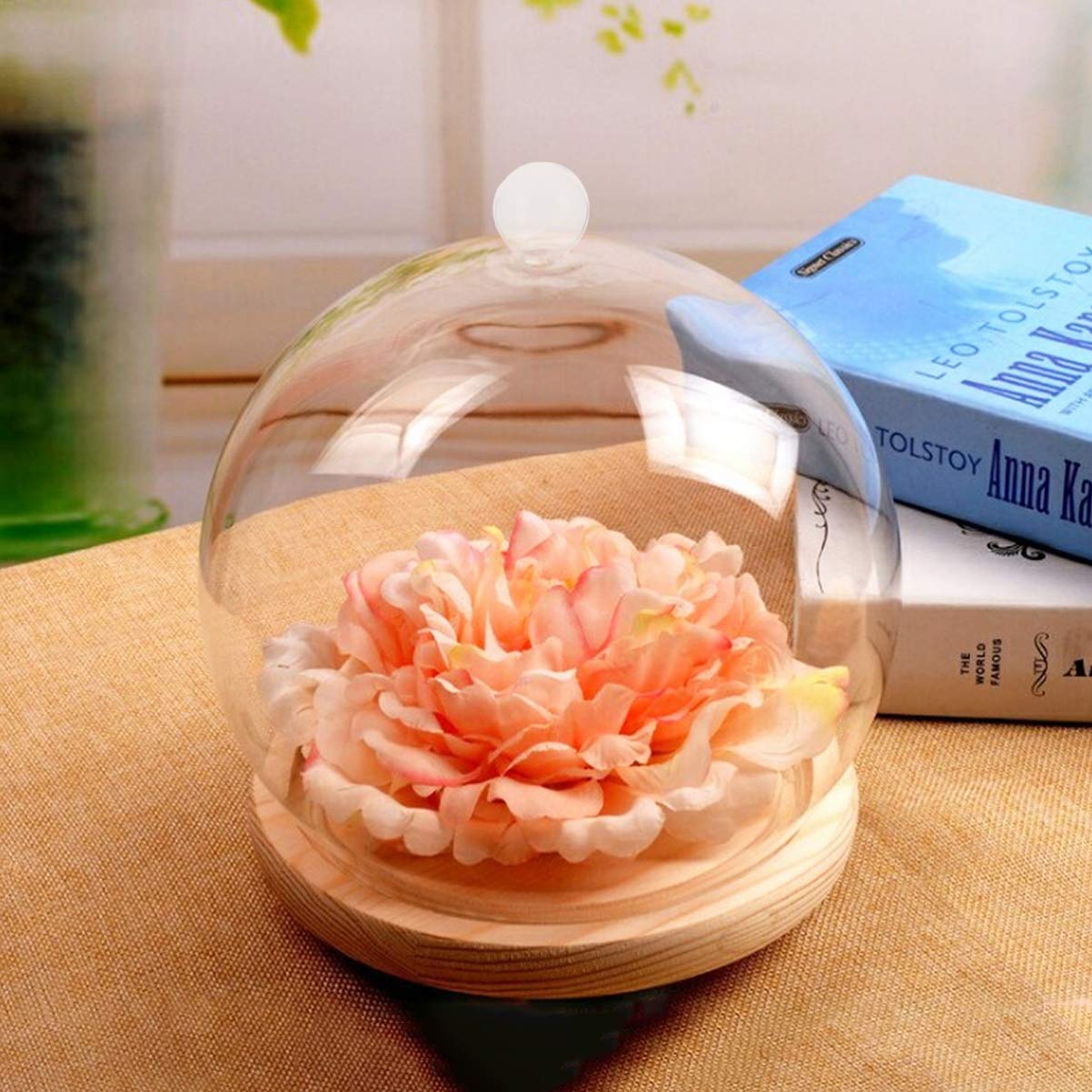 VICASKY 1 Juego Cubierta De Cristal De Flores Preservadas Terrarios De Vidrio para Soporte para Pasteles De Vidrio con Tapa Cúpula De Queso De Madera Antiguo Bambú Cubierta De Comida