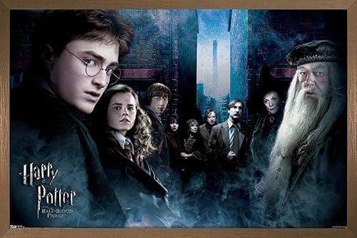Vista 67 de Trends International Harry Potter y el príncipe mestizo - Póster de pared de la fraternidad, 22.375 x 34 pulgadas, versión premium sin marco