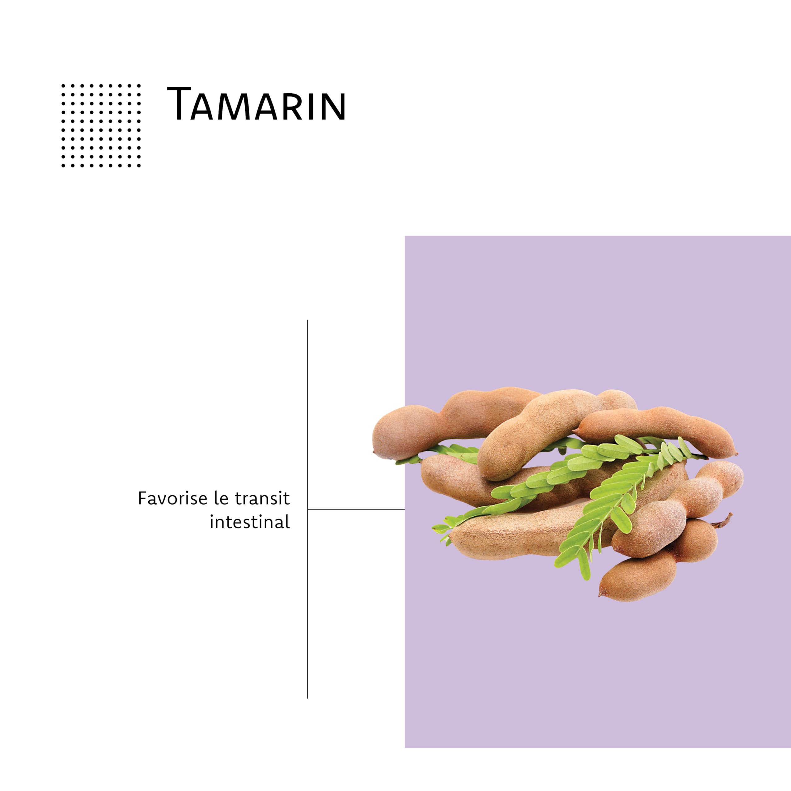 ARAGAN - Synactifs Lot de 2 Transitactifs - Complément Alimentaire Transit Intestinal - Tamarin, Mauve, Psyllium, Pruneau, Chicorée - 40 gélules - 20 jours de prise - Fabriqué en France