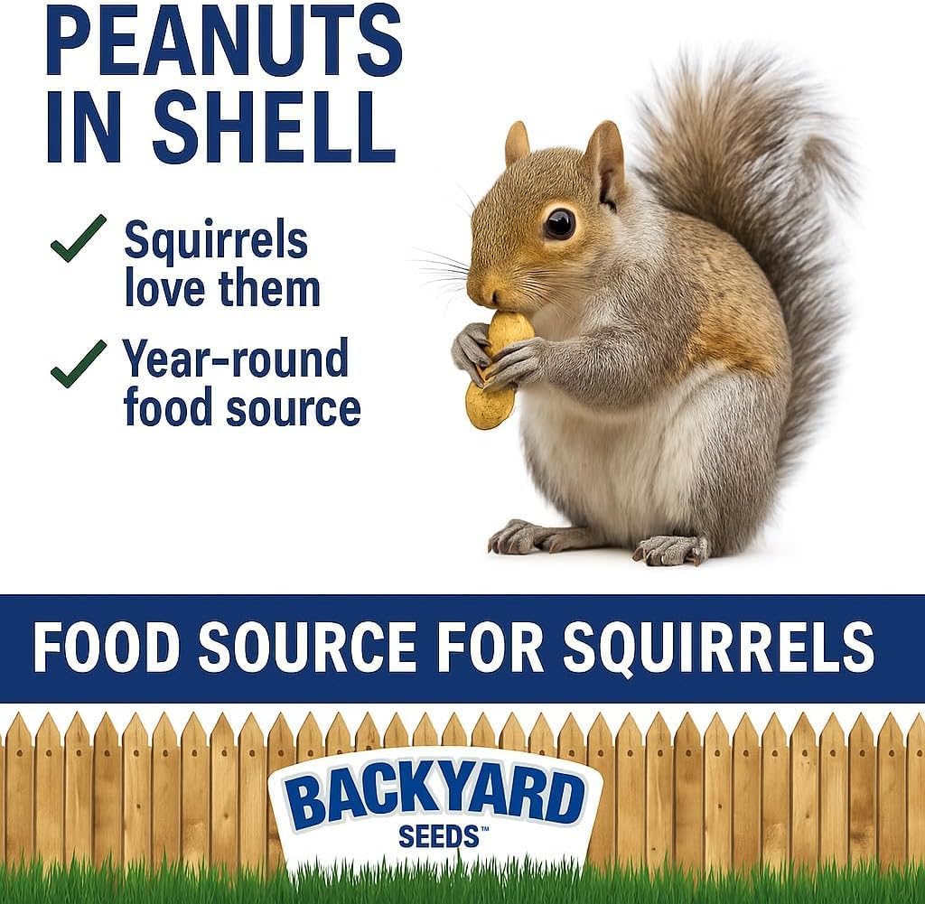 CountryMax Backyard Seeds in-Shell Raw Unprocessed Peanuts 10lbs - Premium Whole Peanuts for Wildlife & Squirrels, Natural Foraging, High Protein