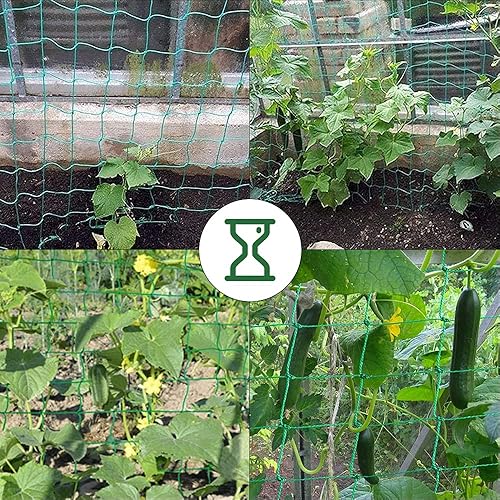 Miniatura 6 de Red de enrejado, red de soporte para plantas trepadoras, red de frijoles de guisantes de jardín, red de enrejado de polietileno resistente para