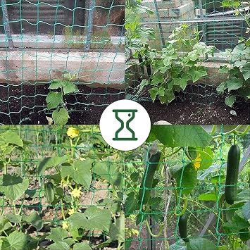 Trellis Thickening Plant Net with Large Mesh Width Trellis Net for Climbing Plants Cucumbers Tomatoes and Other Vegetable Plants Greenhouse Accessories - 2 m x 2.5 m