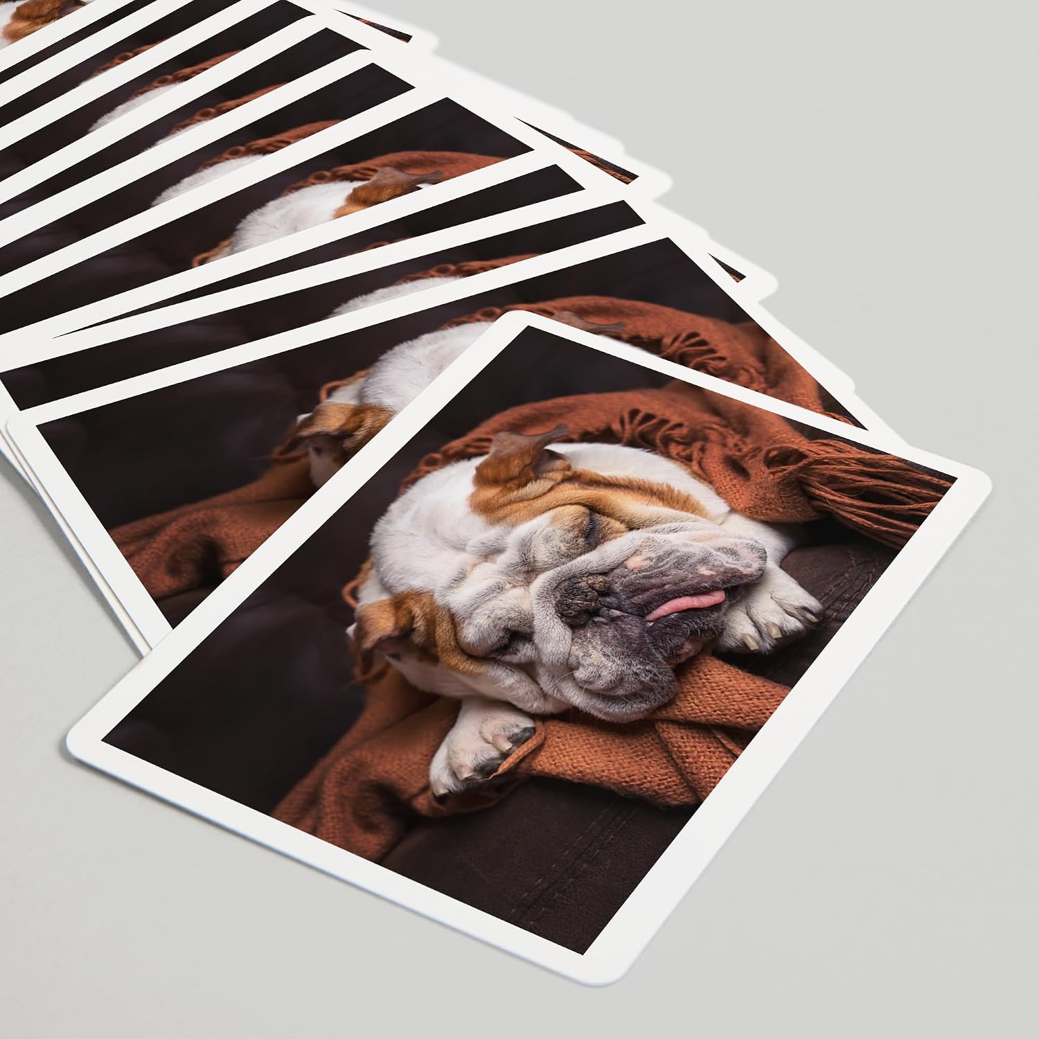 Lantern Press English Bulldog Sleeping on Couch Photography A-90753, 52 Playing Cards for Adults, Poker Size Card Deck