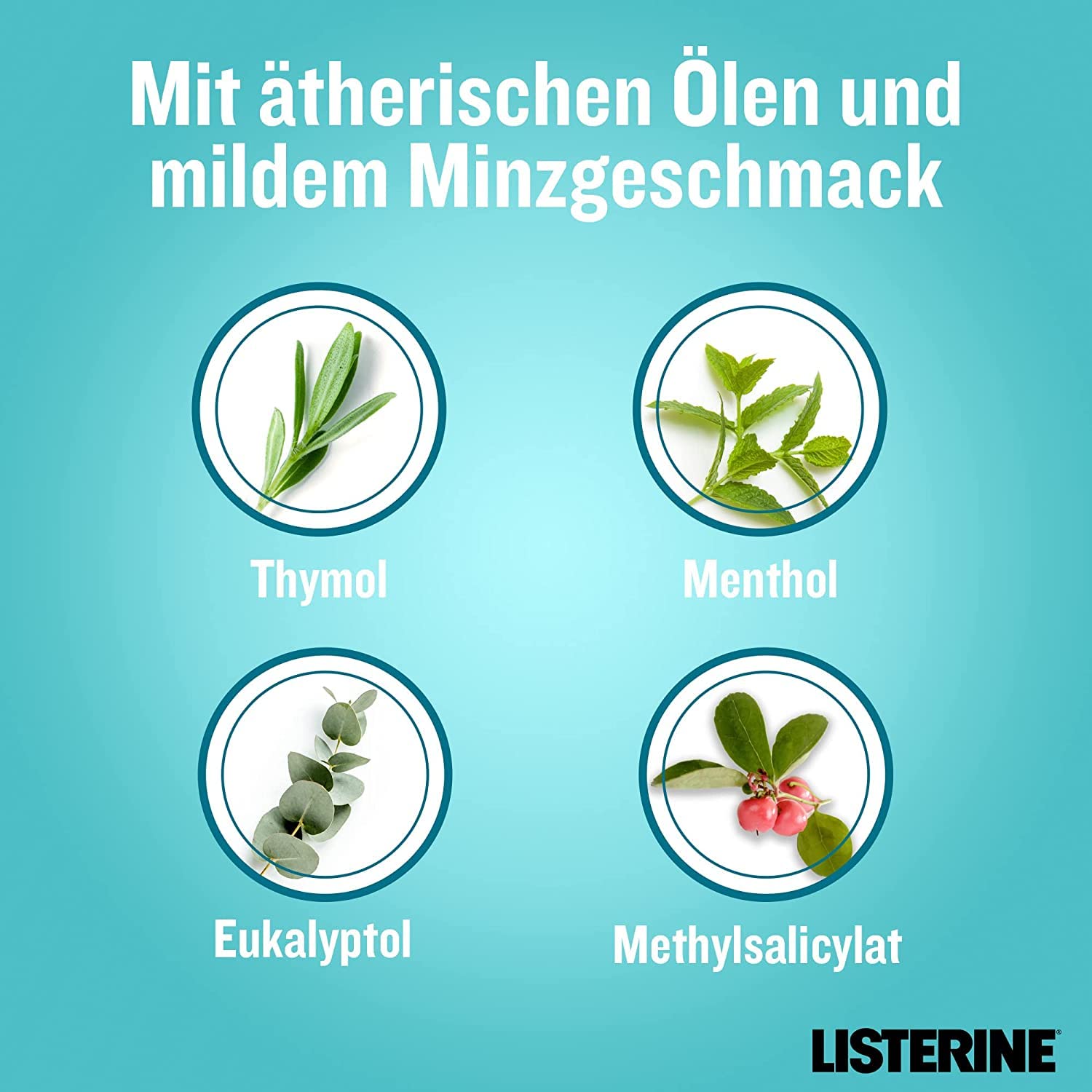 LISTERINE Cool Mint milder Geschmack (1000 ml), antibakterielle Mundspülung ohne Alkohol mit ätherischen Ölen, für ein langanhaltendes Frischegefühl (6 x 1000ml)