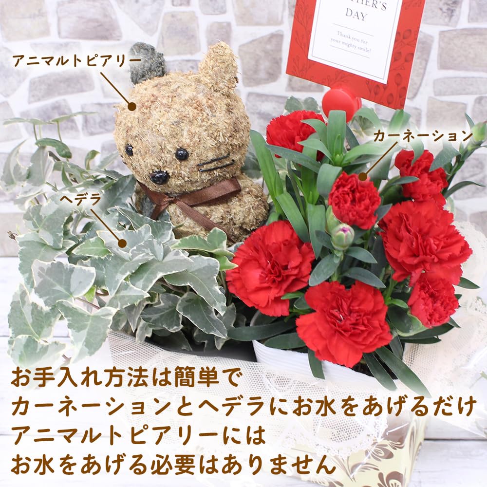 Amazon｜カーネーション アニマルトピアリー プレゼント 花 母の日