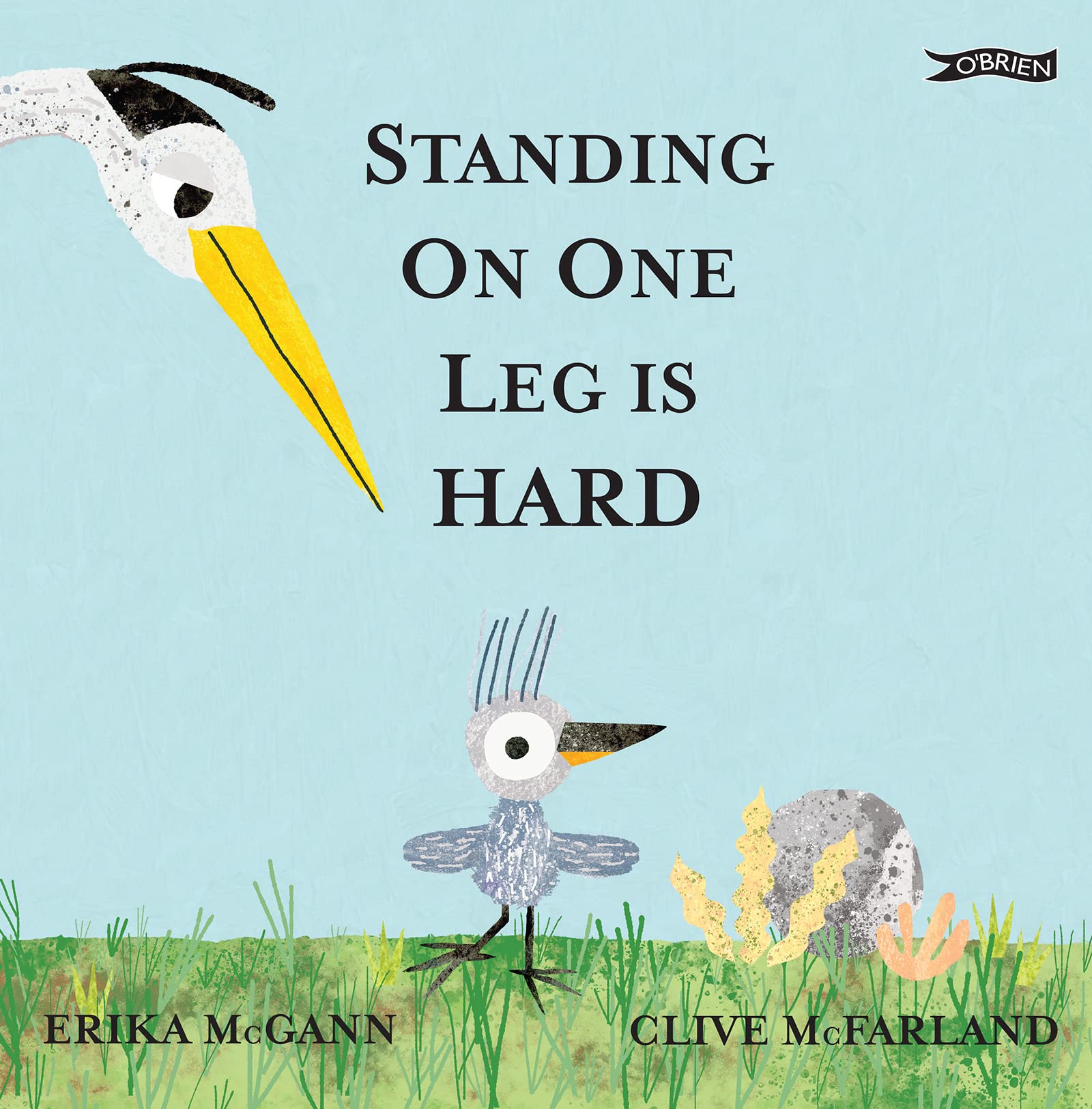 Standing on One Leg is Hard by Erika McGann HARDBACK 9781788493215