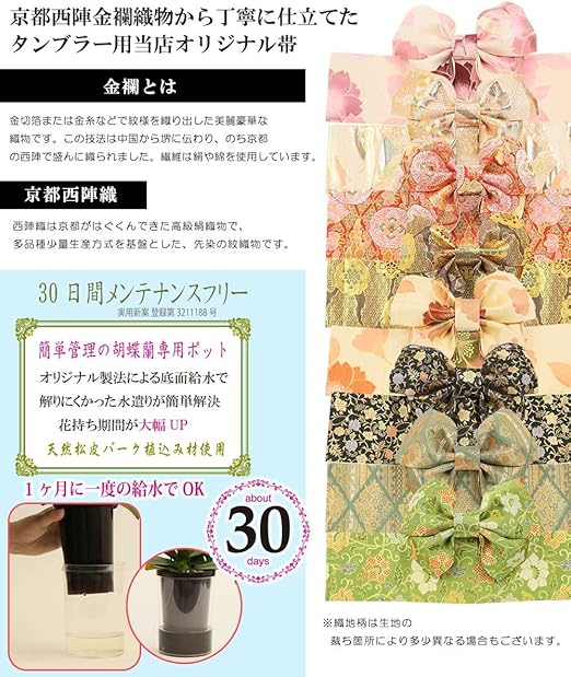 Amazon Co Jp Mini Phalaenopsis Midi Phalaenopsis Orchid Tensho Original Kimono Style Black Floral Table Phalaenopsis No 4 Tumbler 2 Stands Yellow Home Kitchen Amazon Co Jp Mini Phalaenopsis Midi Phalaenopsis Orchid Tensho Original Kimono Style Black Floral Table Phalaenopsis No 4 Tumbler 2 Stands Yellow Home Kitchen