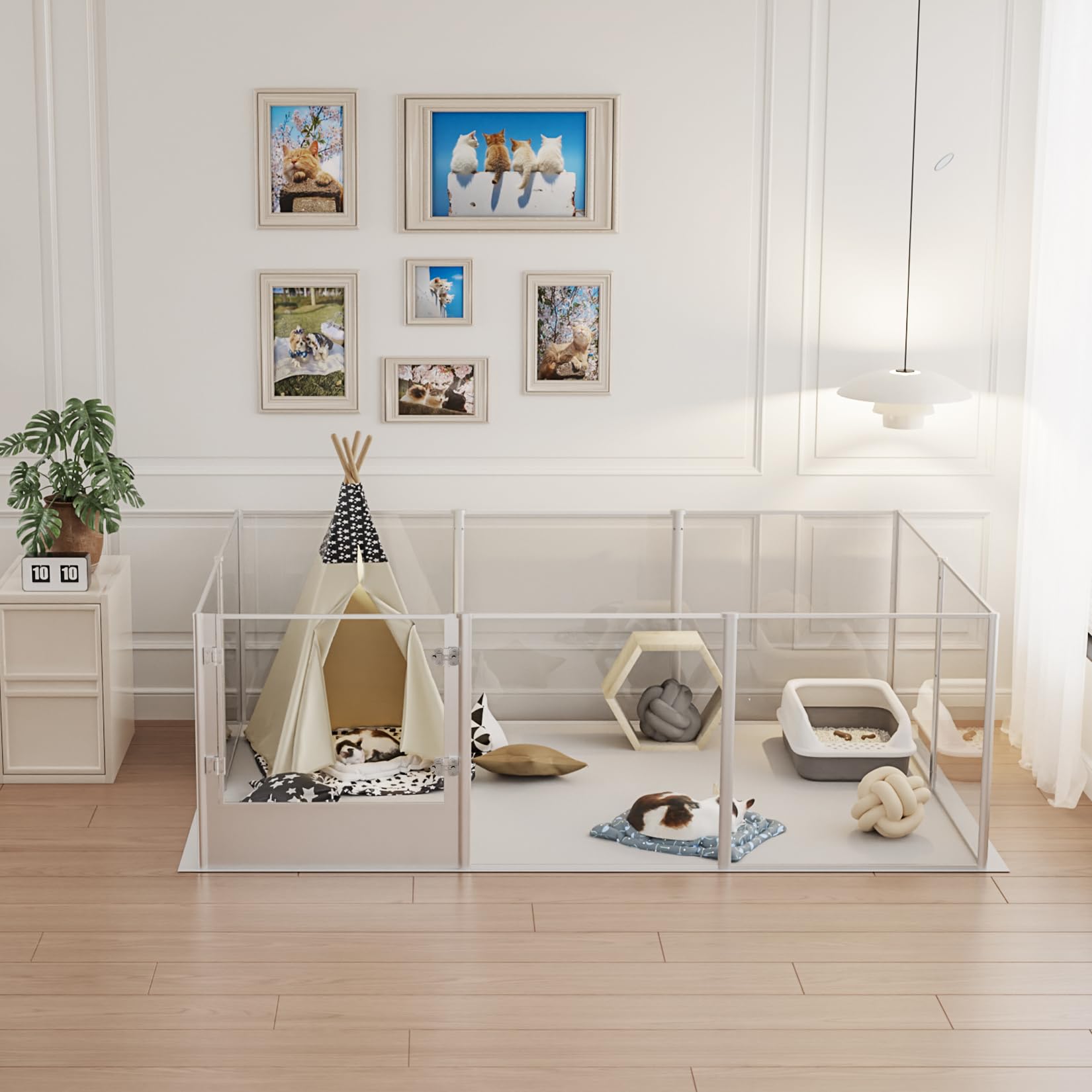 XL Recinto Box Parto per Cani Acrilico Alto 60cm Telaio Alluminio 180x120cm
