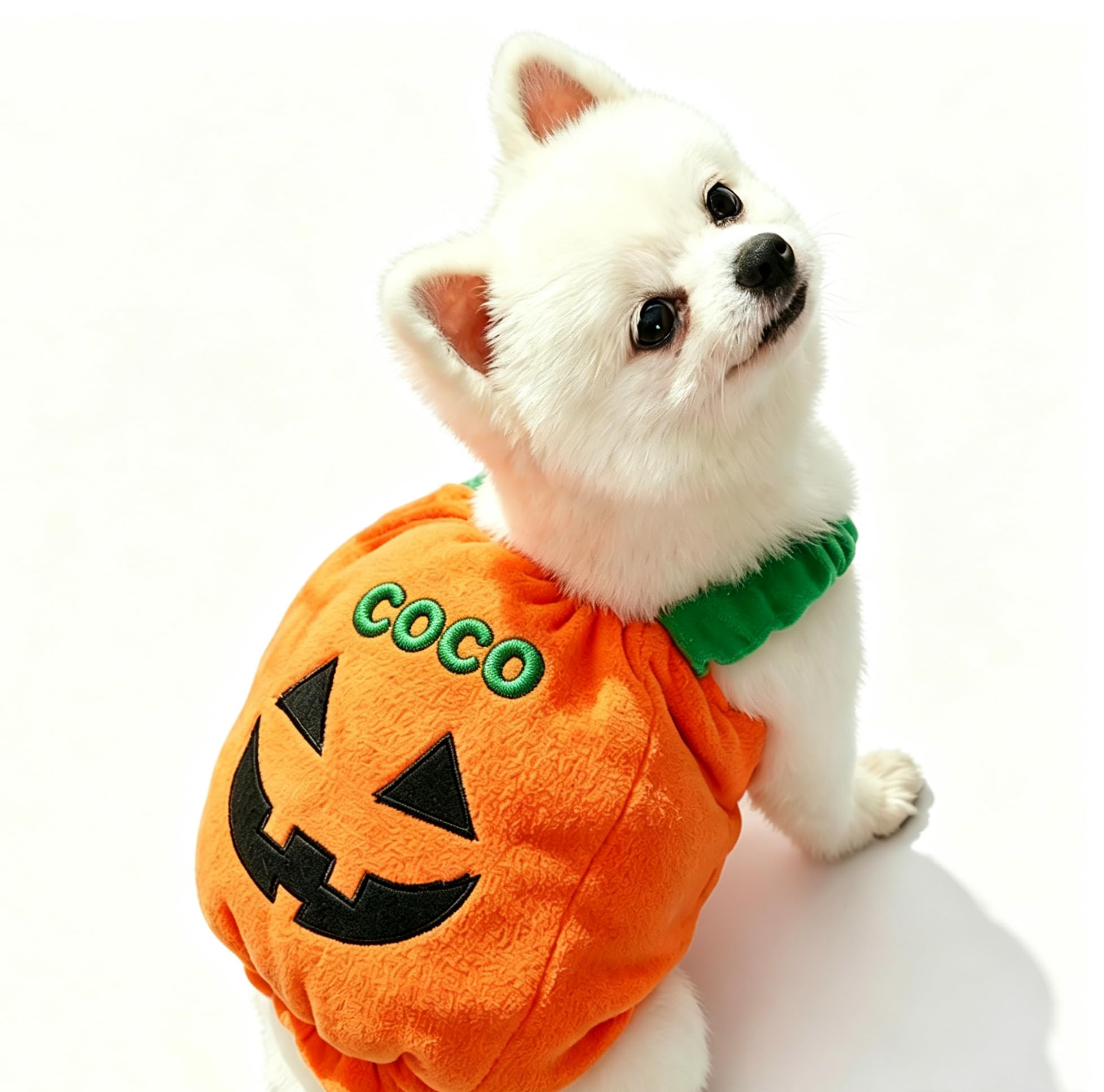 Personalised halloween pumpkin costume, Custom Name Funny Warm Fleece Cosplay Outfit for Dogs Cats, Novelty Party Clothes