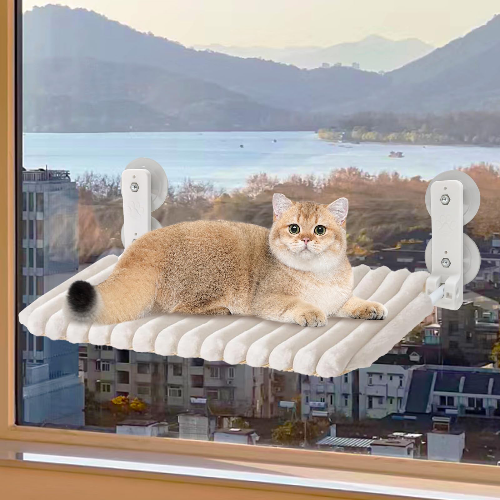 Hamac Chat Fenêtre avec Coussin Lavable, Lit de fenêtre pour Chat avec 4 ventouses, Cadre setal Robuste pour fenêtres en Verre et Murs intérieurs, Blanc