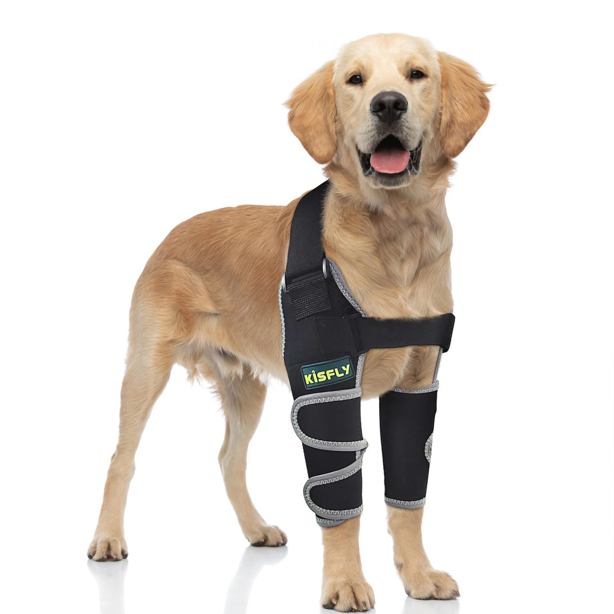 Manchons pour plaies de chien pour soulager les callosités et le coude