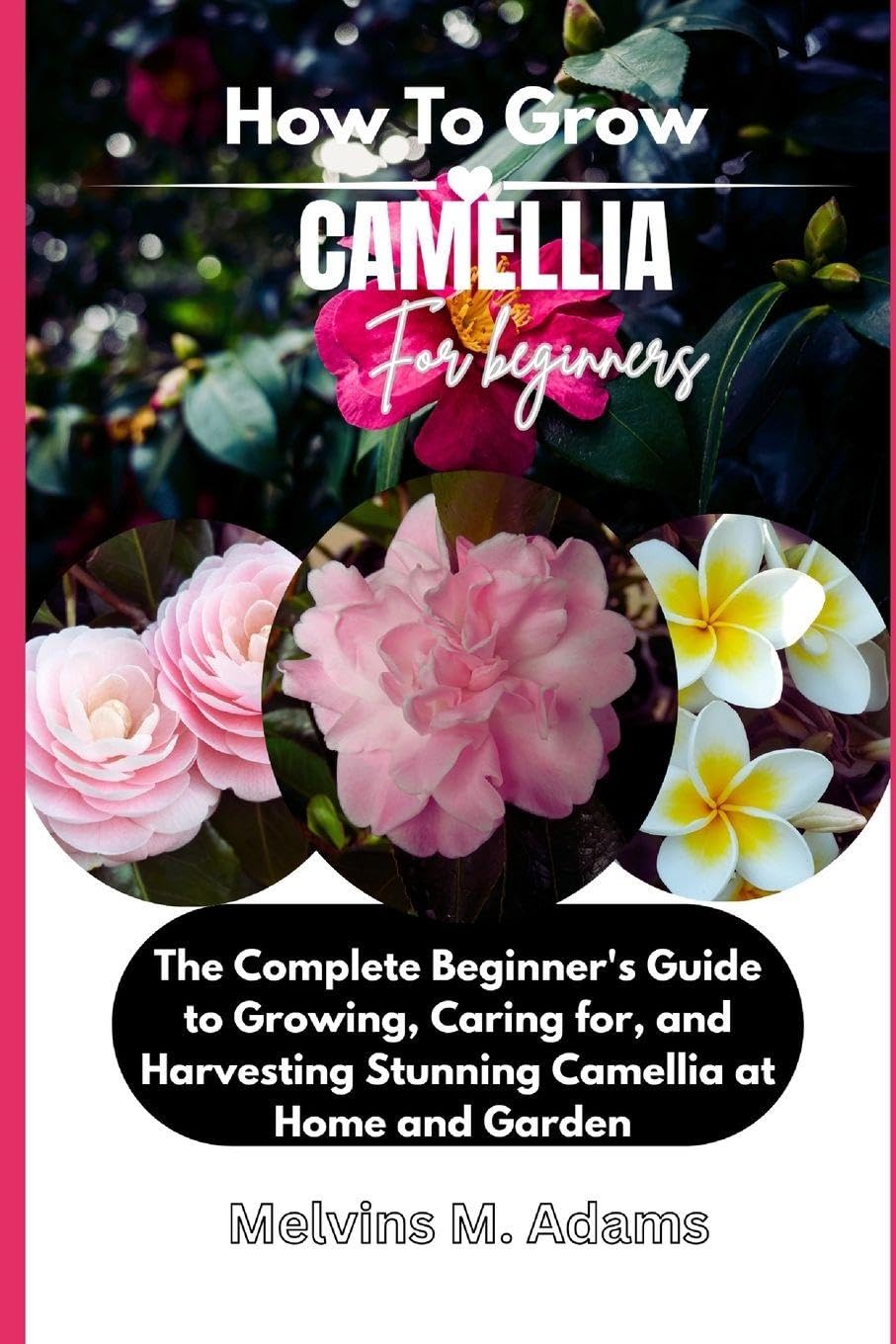 How to Grow Camellia Flower for Beginners: The Ultimate Beginner’s Guide to Growing, Caring for, and Harvesting Stunning Camellia at Home and garden