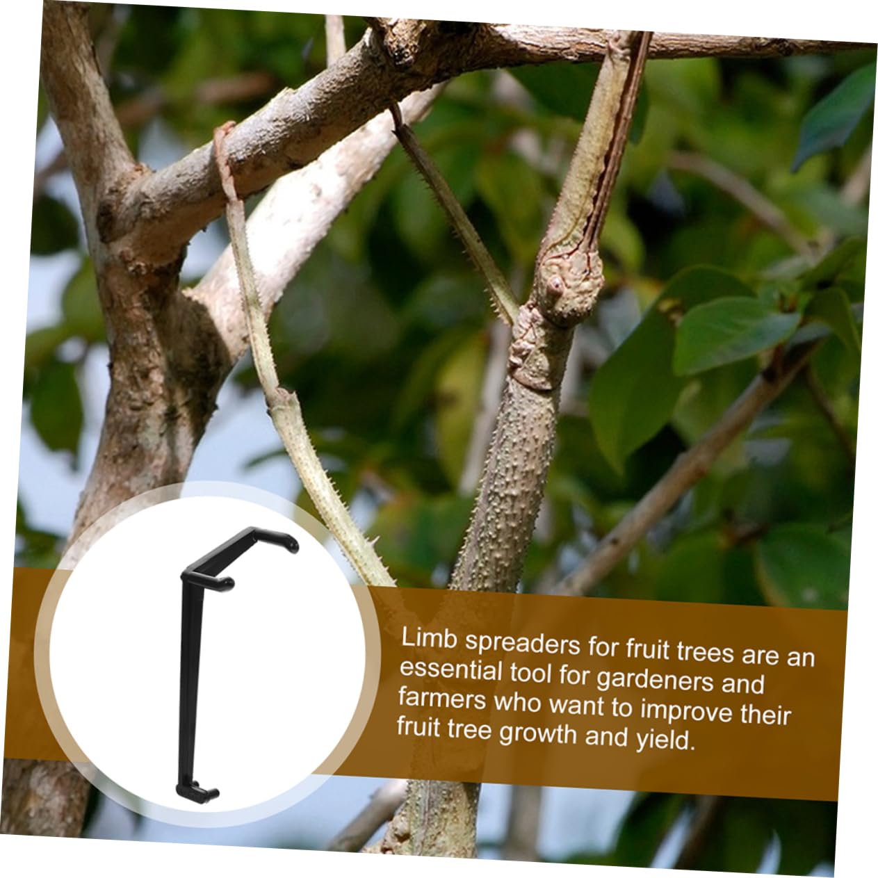 SUPVOX 150pièces Écarteurs De Branches Plastique Réglables pour Fruitiers Outils De Jardinage pour Écarter Et Modéliser Branches De Fruits