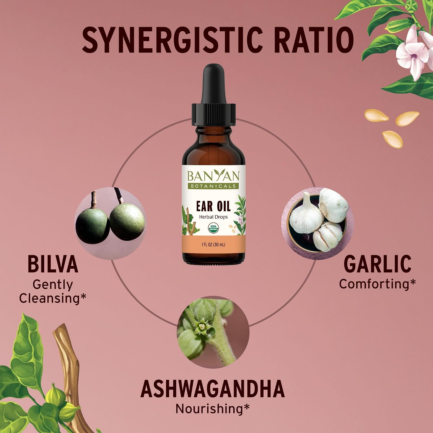Banyan Botanicals Ear Oil – Organic Herbal Oil Ear Drops with Ashwagandha and Garlic – Soothing and Comforting for The Ears – 1 oz – Non GMO Sustainably Sourced Vegan