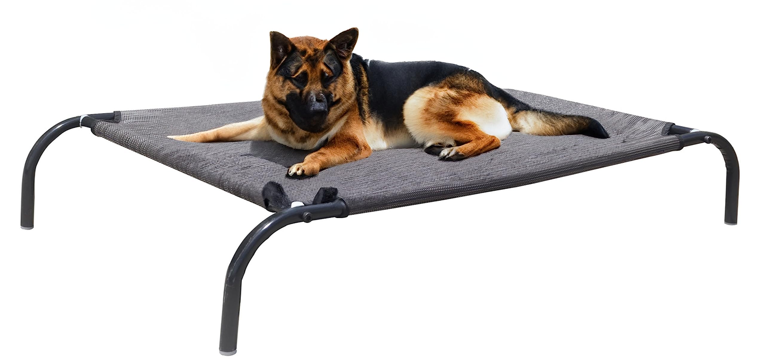 HEALTHY SLEEPING Elevated Cooling Mesh Pet Polyester Bed Cot For Dogs And Cats Multicolour(Black, Large)