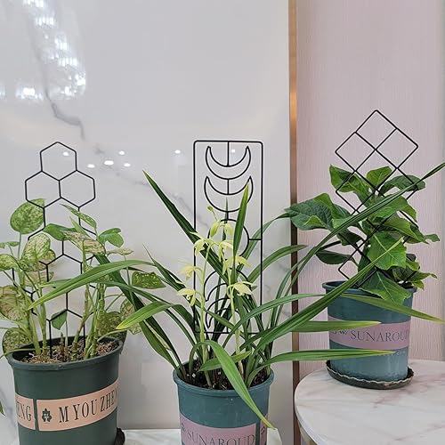 Miniatura 8 de Enrejado de metal para plantas trepadoras de interior, enrejado pequeño de 16.36 pulgadas para plantas en maceta, forma geométrica, celosía para