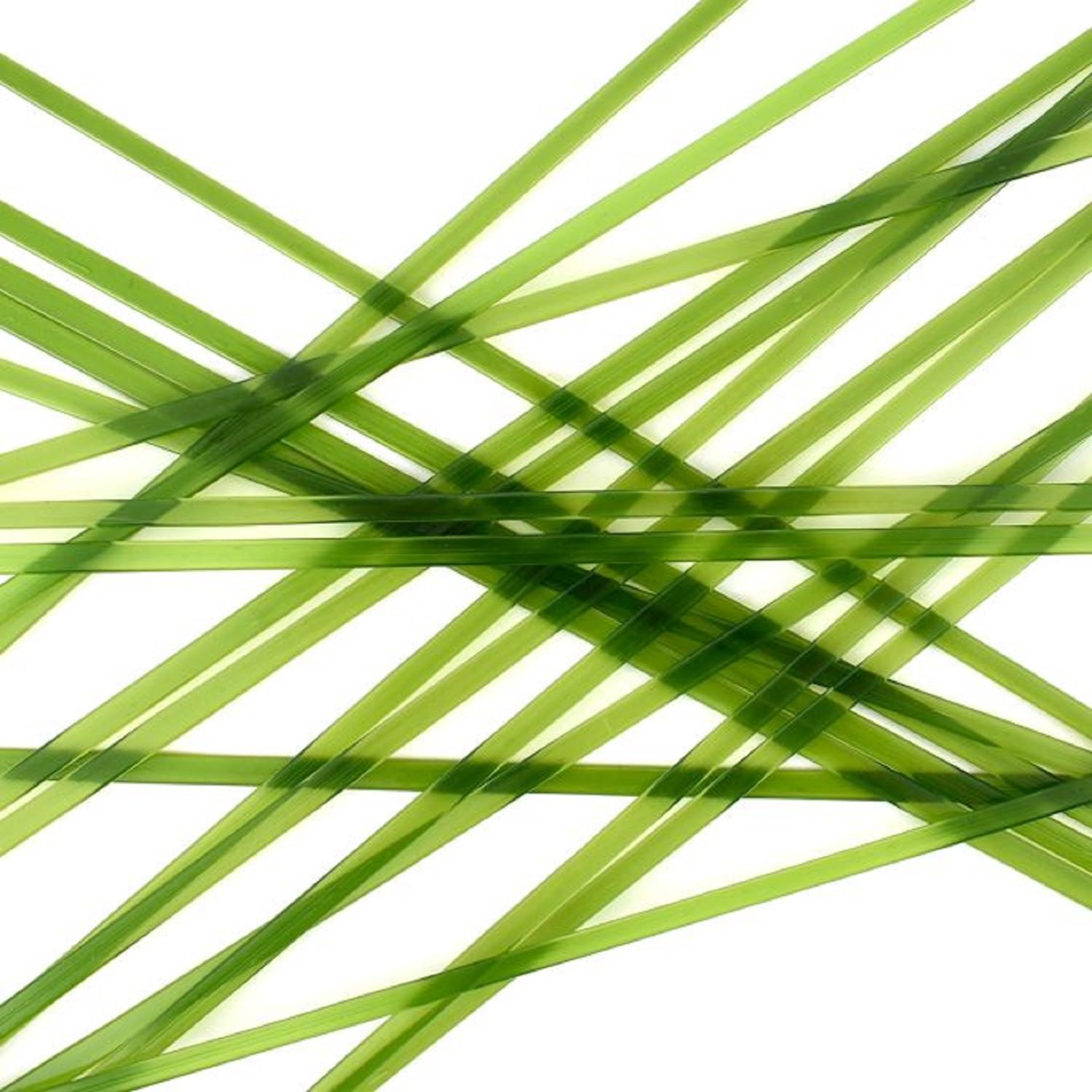 Noodles Forest Green Opal 96coe 5 oz Tube Glass