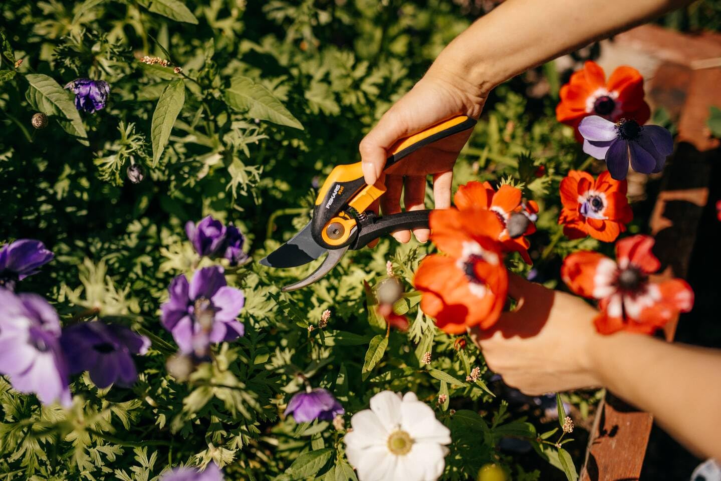 Fiskars Sekator obejściowy, Plus SmartFit, P541, Do świeżych gałęzi i gałązek, Powłoka nieprzywierająca, Ostrza ze stali nierdzewnej, Długość: 20,1 cm, Czarny/Pomarańczowy, 1057169