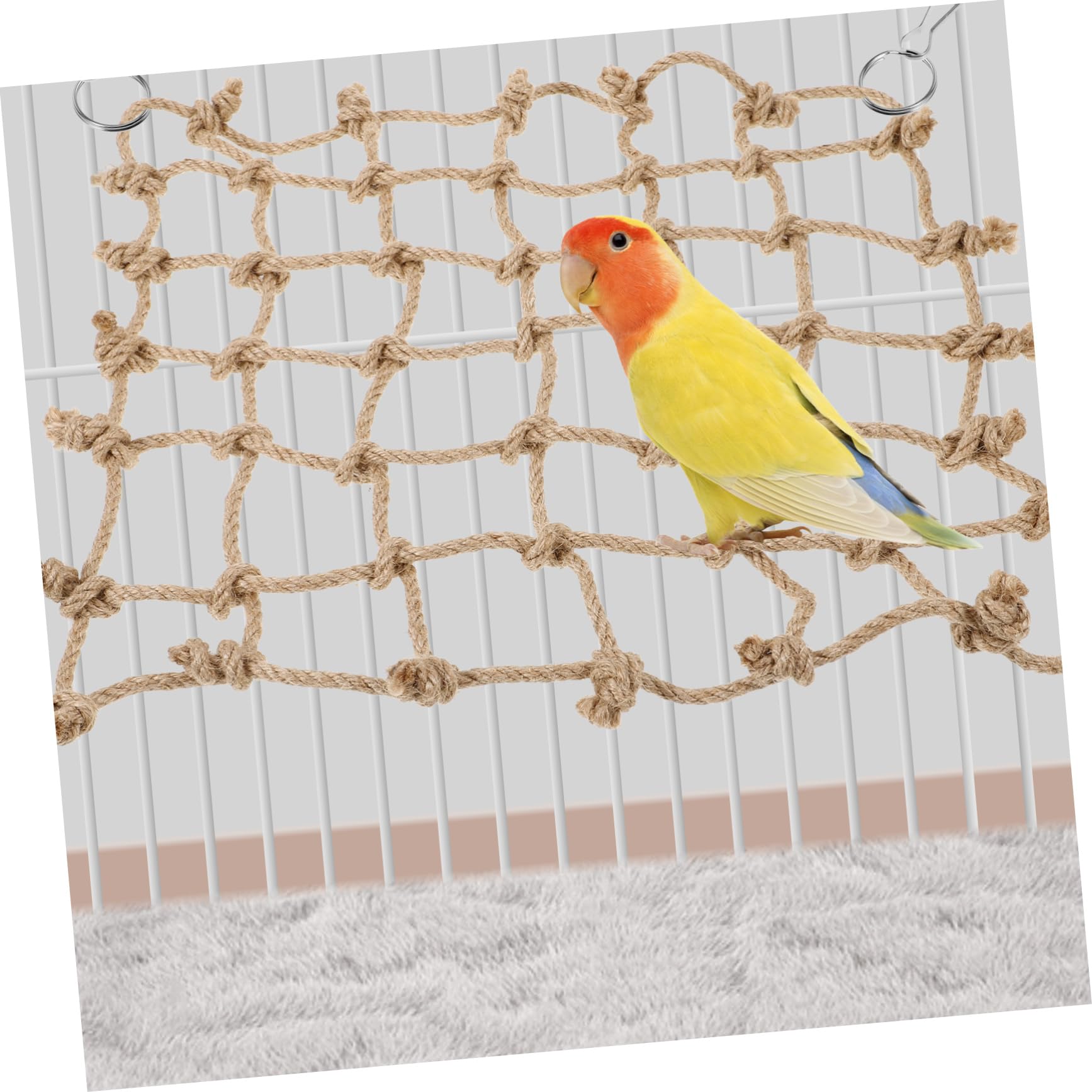 BESPORTBLE 5st Kletternetz Für Haustiere Kletterspielzeug Für Vögel Zubehör Für Vogelkäfige Papagei Kletter-Bungee-Leiter Sittichnetz Vogel-kletternetz Umweltfreundliches Strohhanfseil