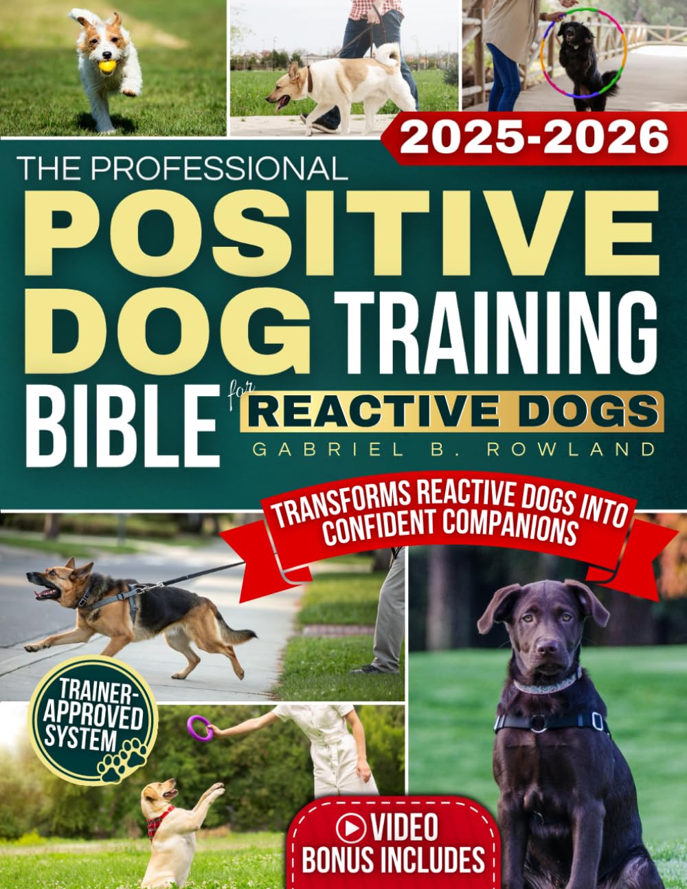 The Professional Positive Dog Training Bible for Reactive Dogs: A Clear System With Step-by-Step Tools, Structured Progression and Techniques That Transform Reactive Dogs into Confident Companions      Paperback – October 14, 2025