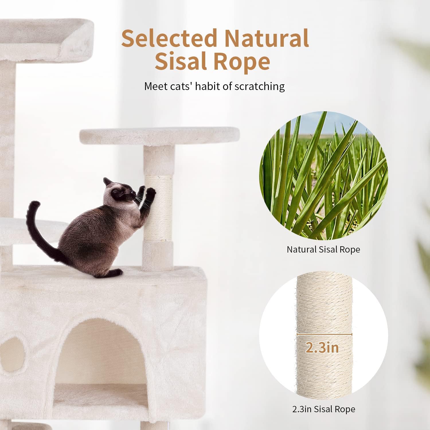 Close-up of a cat scratching a sisal post, with an inset showing natural sisal rope and its 2.3-inch thickness.