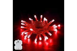 BOLWEO Red Fairy Lights Outdoor Waterproof 10ft 30 LED