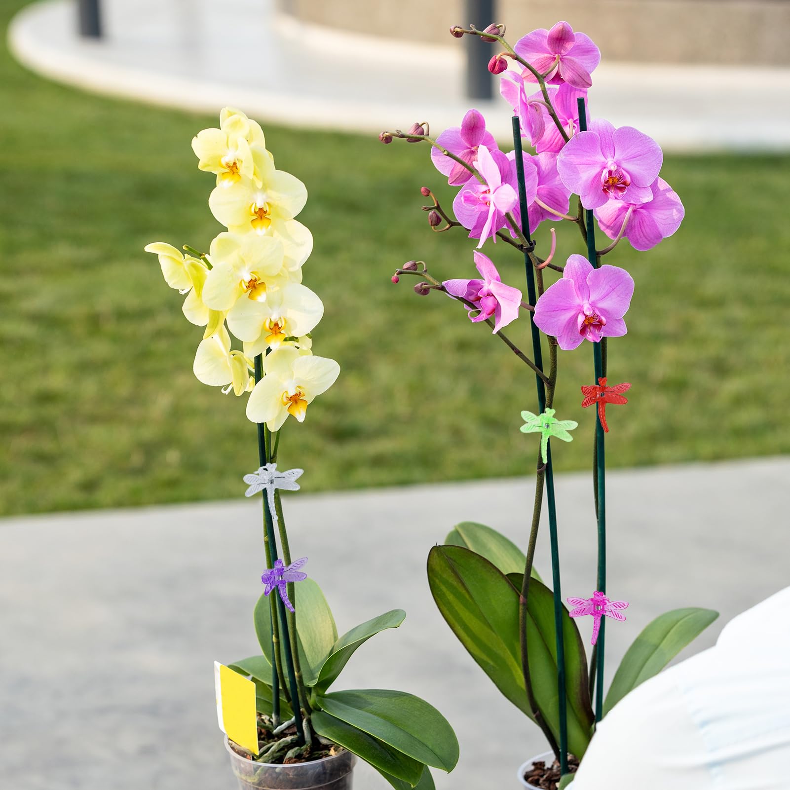 10 Bunte Libellen-Orchideenklammern – Pflanzenclips Für Garten, Blumen & Kletterpflanzen