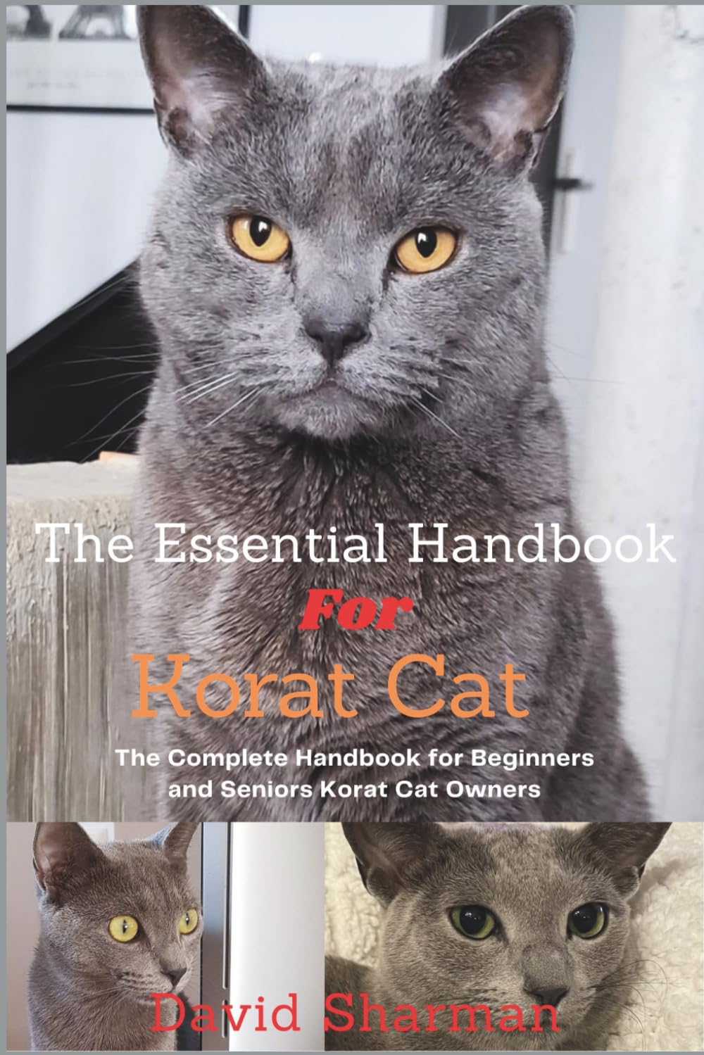 THE ESSENTIAL HANDBOOK FOR KORAT CAT: The Complete Handbook For Beginners And Seniors Korat cat owners
