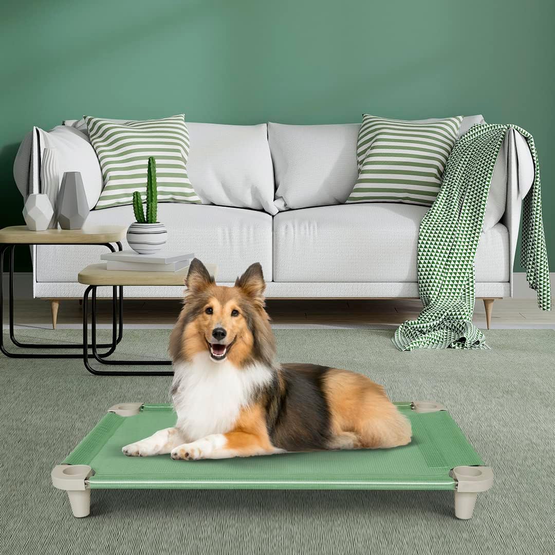 Acrimet Cama Elevada para Perros, Malla Lavable y Transpirable, Estructura de Acero Inoxidable, para Uso Interior y Exterior (Tamaño: 102 x 61 x 11cm) (Color Verde) (1 Unidad)
