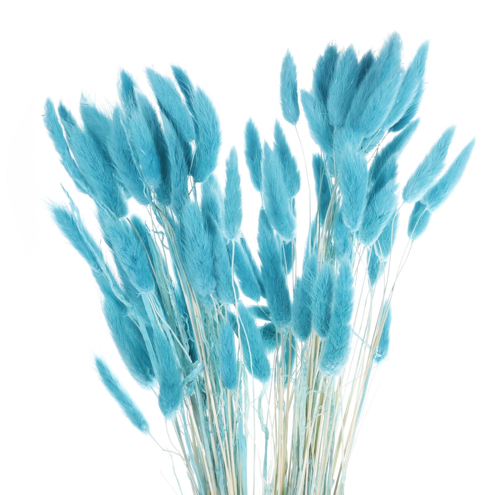 QUARKZMAN 120Pcs Queue Lapin Naturelle Fleurs Séchées 60cm Bleu Ciel Clair | Mini Herbe de Pampa Lagurus Ovatus, Bouquet pour Décoration Florale Mariage Noël