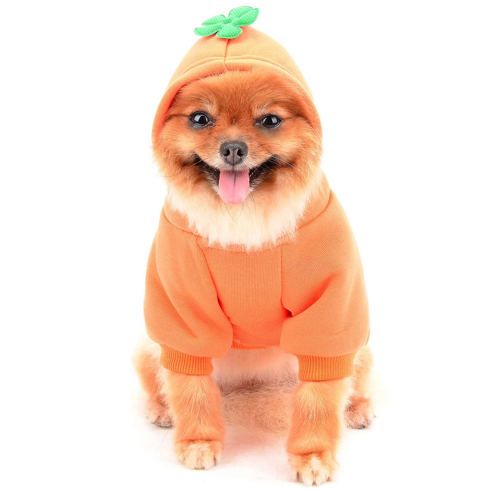 PAIDEFUL Dog Hoodies for Small Dogs Cats Cold Weather Dachshunds Fleece Fall Sweater Warm Winter Coat Five-Leaf Clover Puppy Chihuahua Clothes for Pets Boys Girls Walking Outdoor Orange XL