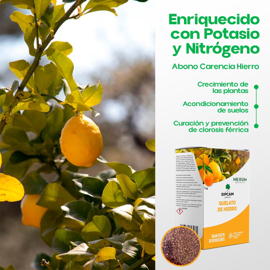 Quelato de Hierro para Plantas y Arboles 1 KG | Abono Carencia Hierro Fertilizante | Cura y Previene la Clorosis Férrica (Hojas Amarillas) | Soluble en Agua Nutriente Fundamental Plantas | Sipcam (1)