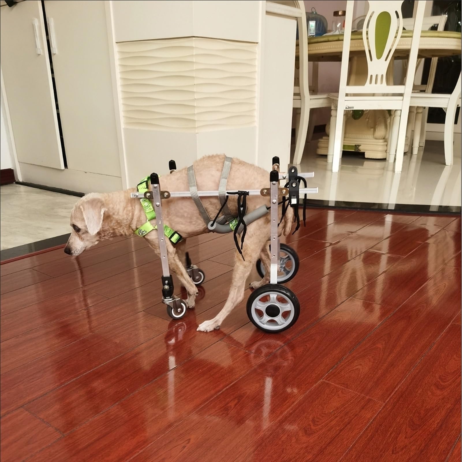 Silla de Ruedas para Perros, Silla de Ruedas for Perros Ajustable de aleación de Aluminio, Tallas XS-L, Ayuda for la Movilidad de Mascotas, Soporte de 4 Ruedas(L Wide)