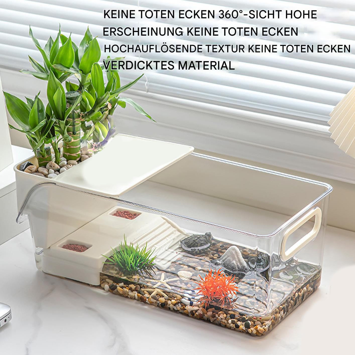 Klarer Schildkrötenpanzer Aus Acryl - Perfektes Zuhause Für Reptilien