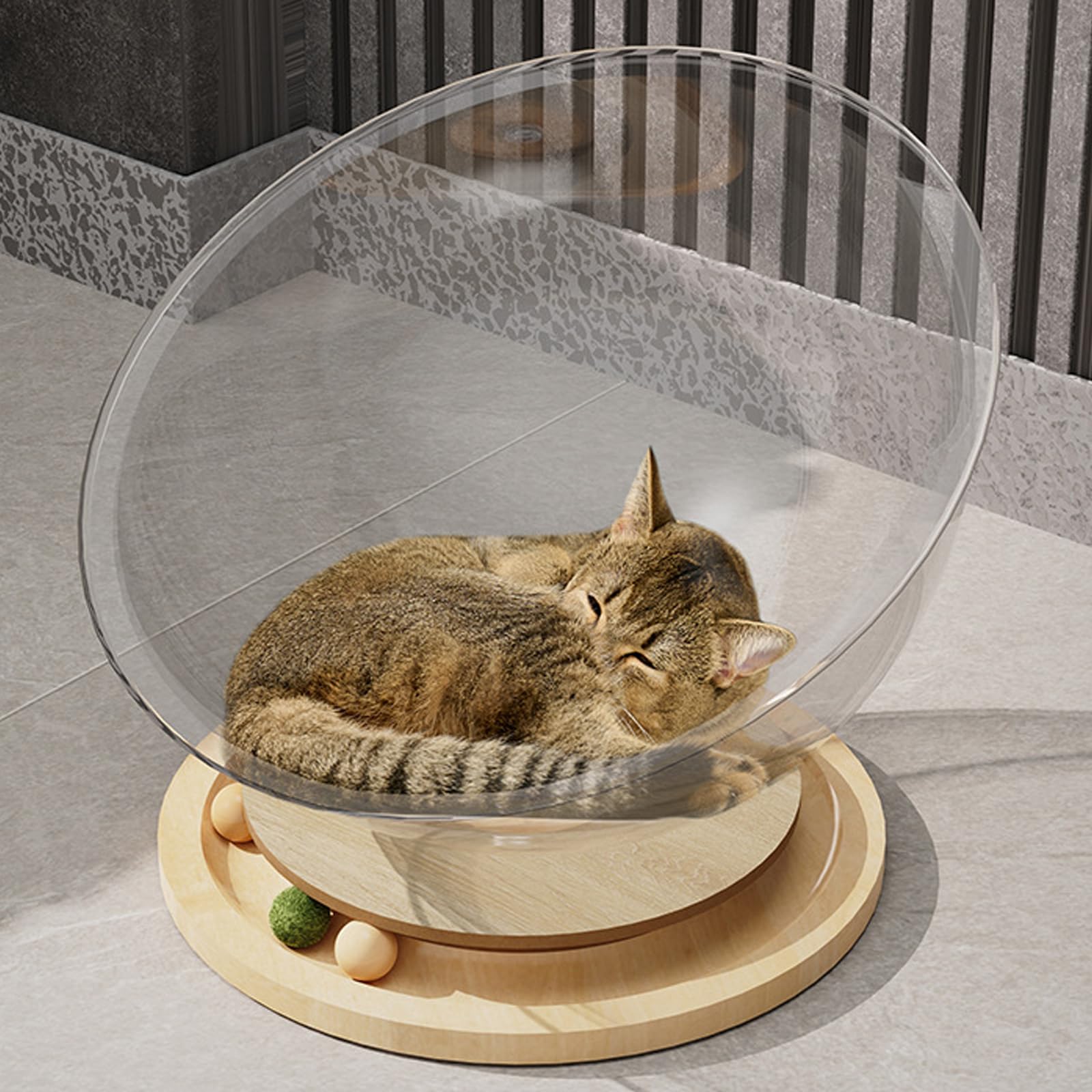 Gatos juguete durabilidad juego universal espacio cabaña cama para felinos activos transparentes