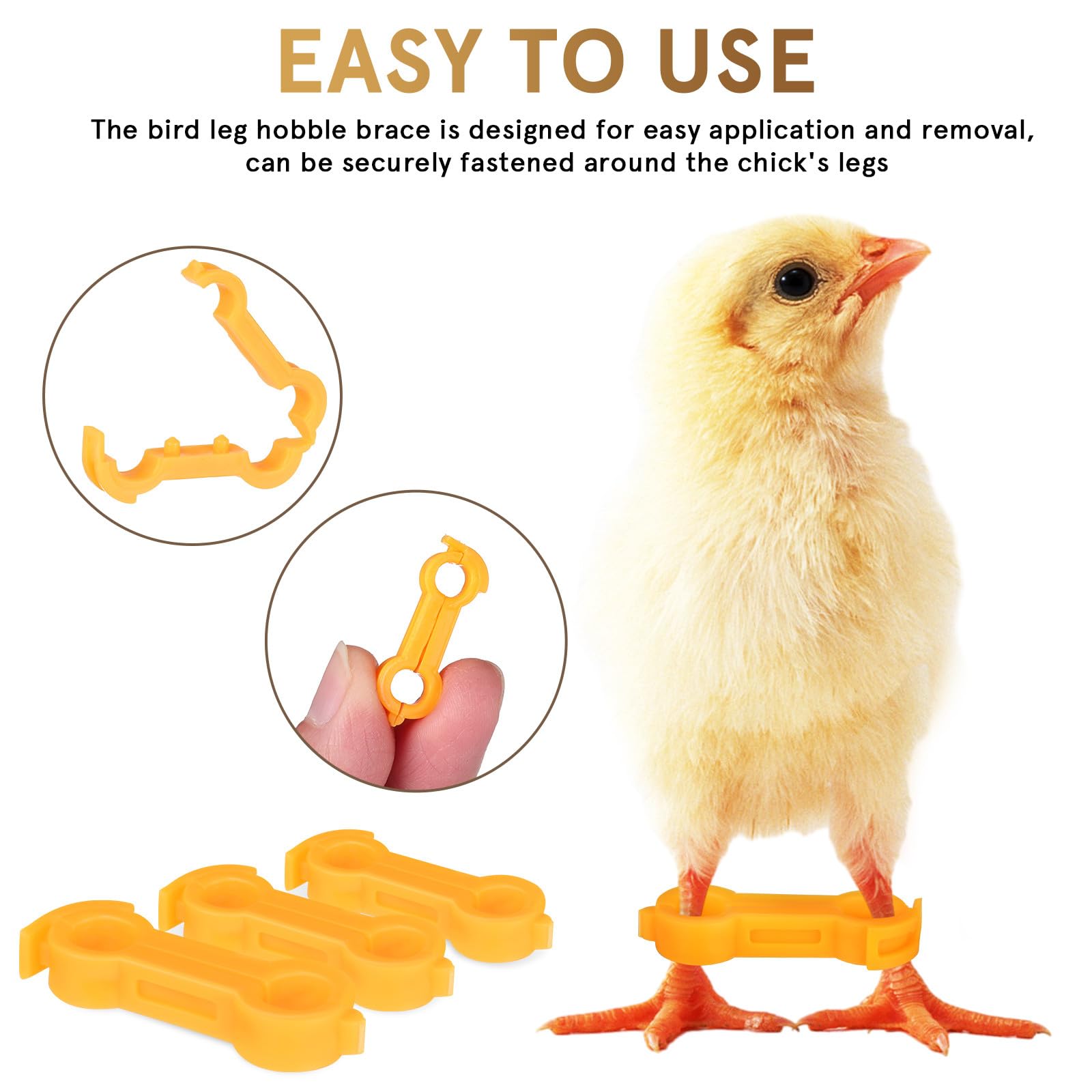 TEHAUX Bandas Correctoras para Patas de Pollitos y Aves, Anillos de PVC de Diferentes Tamaños, Sujeción Segura Crecimiento Saludable, Paquete de 12 Unidades Amarillas