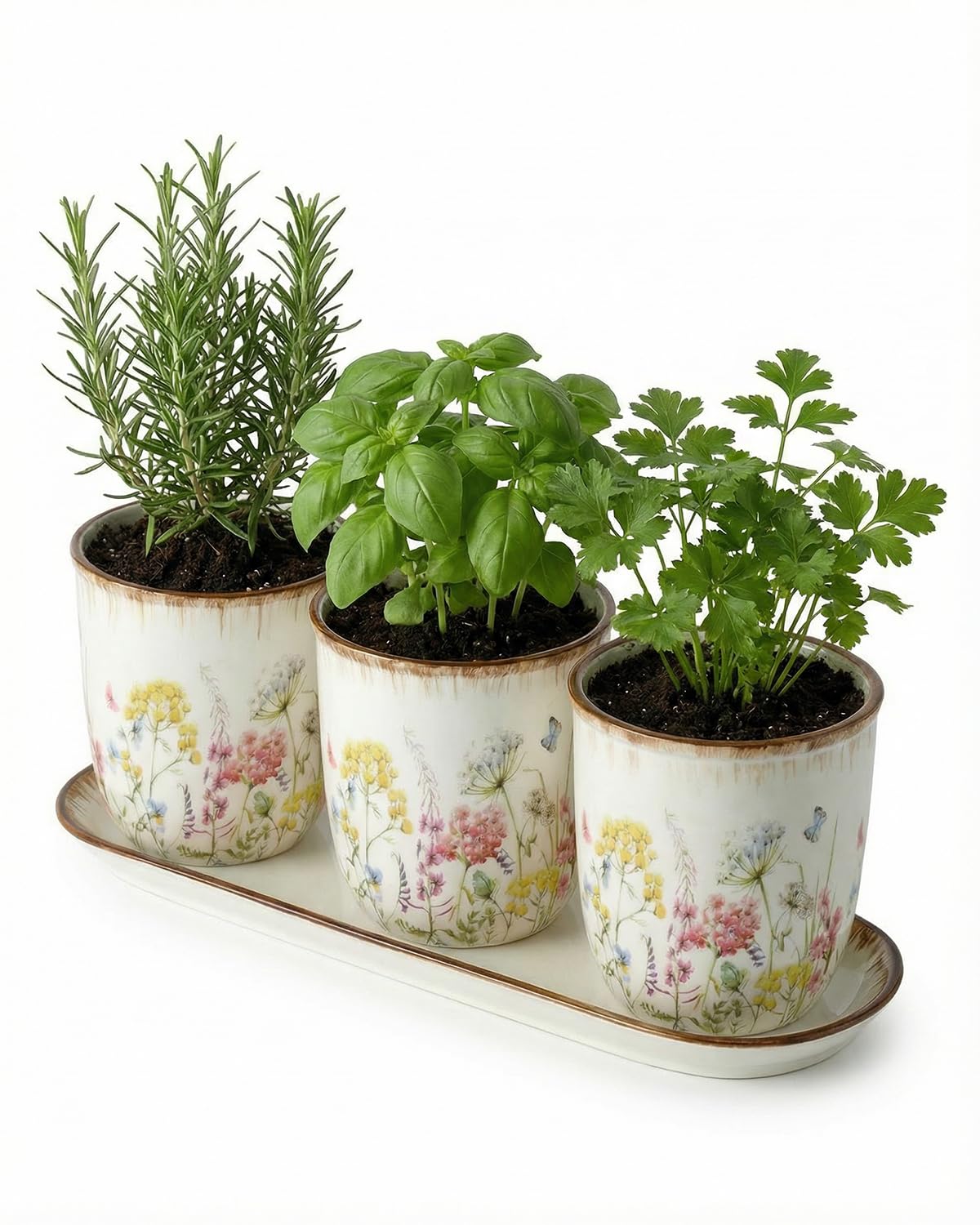 Keramik Pflanzgefäß Set mit Tablett - 3 Kleine Blumentöpfe mit Drainage, Dekorative Blumenkräuter Pflanzgefäße für Küche Fensterbank, Indoor Sukkulenten Töpfe für Pflanzen, Keramiktöpfe mit langem