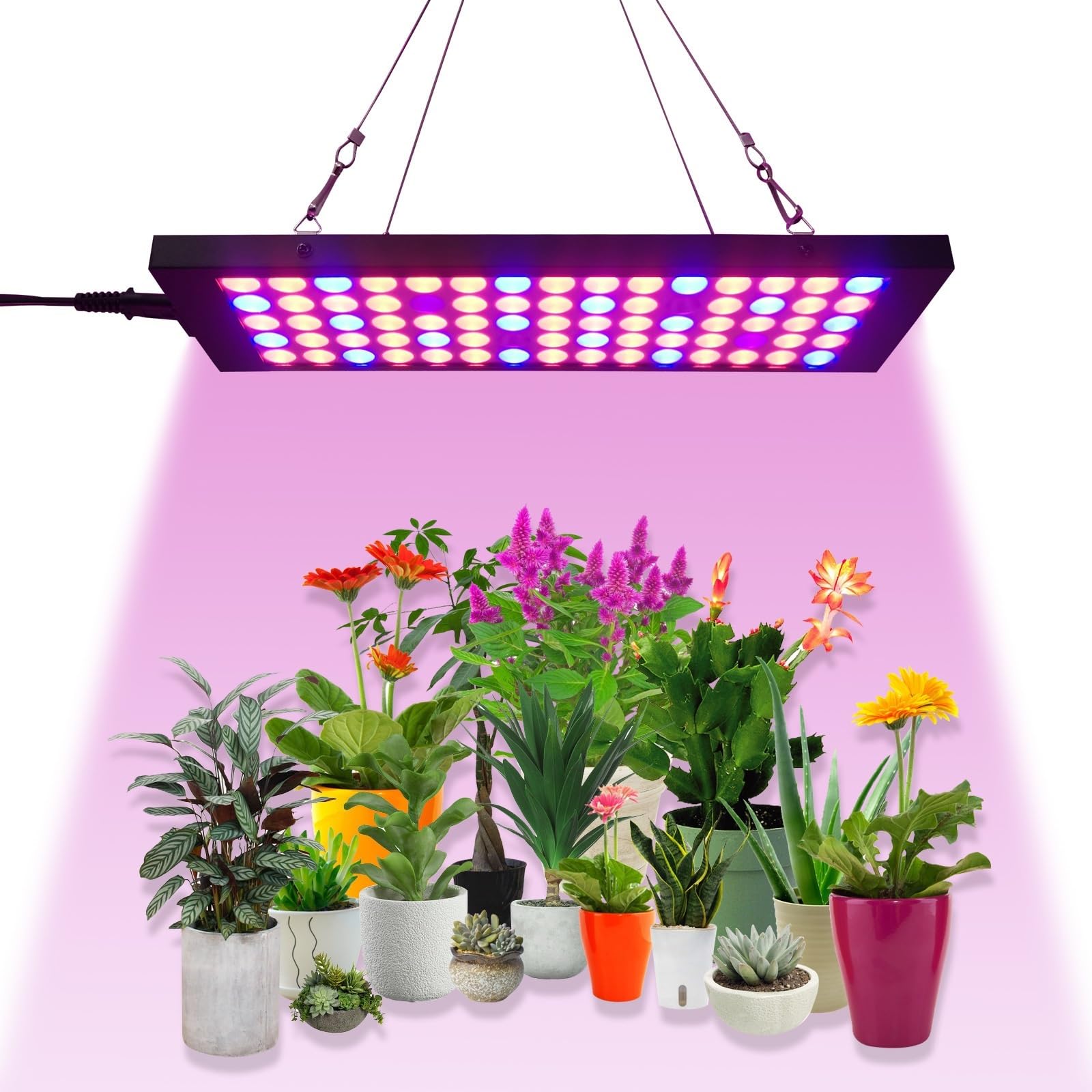 Luz LED Crecimiento, Lámpara LED de 40 W for cultivo de plantas, espectro completo, for cultivo vertical, verduras, flores, semillas, plantas de interior