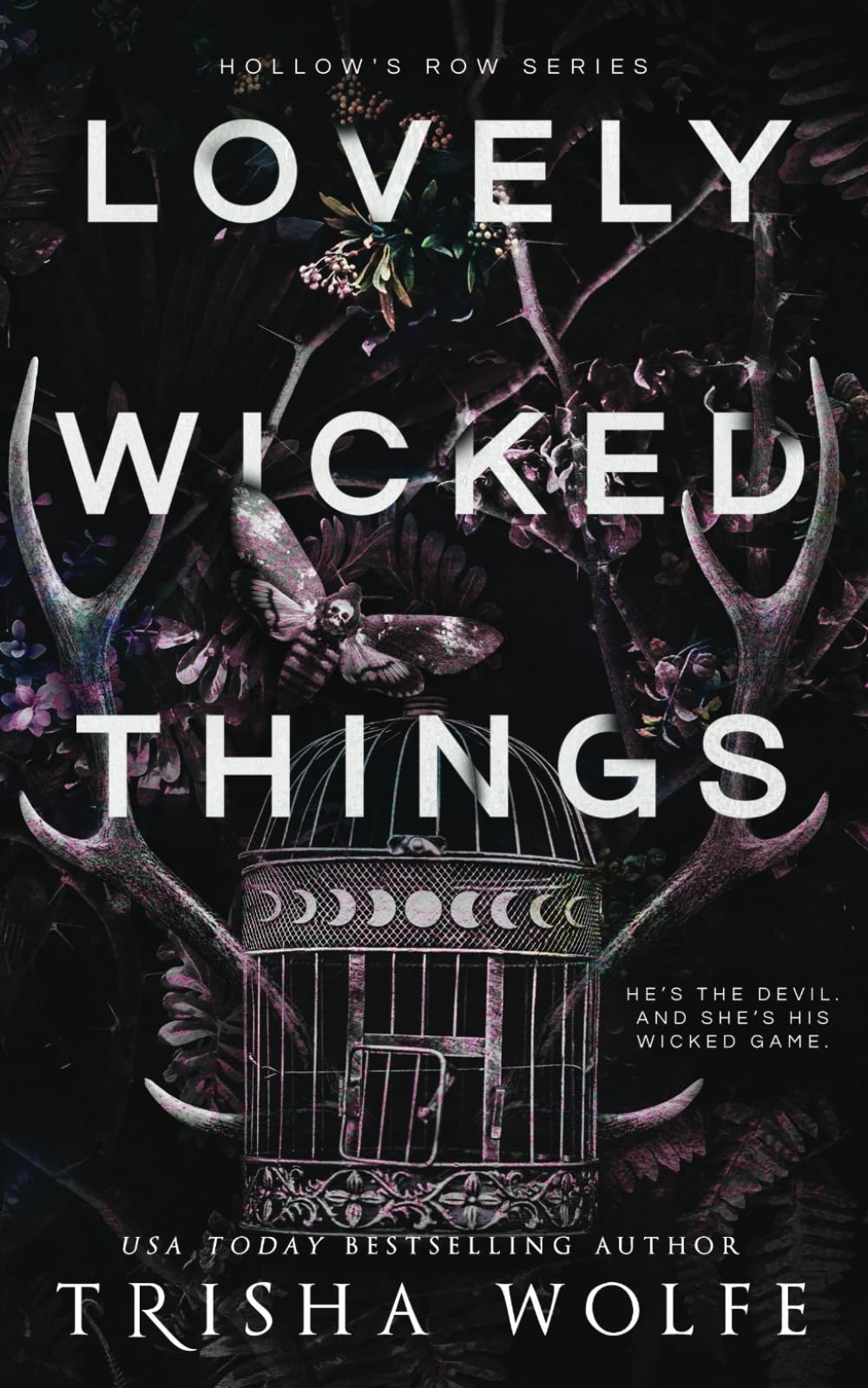 Lovely Wicked Things