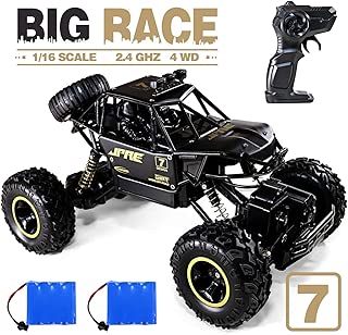 JACKEETD Monster Truck 2.4Ghz Radio Remote Control Trucks, 1/16 Scale Off Road RC car with Two Rechargeable Batteries, Racing RC Truck for All Adults and Kids - Black - coolthings.us