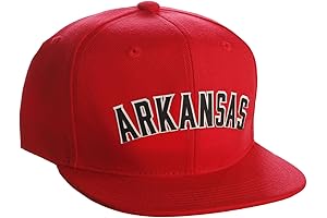 Arkansas Razorbacks Trendy Snapback Hat