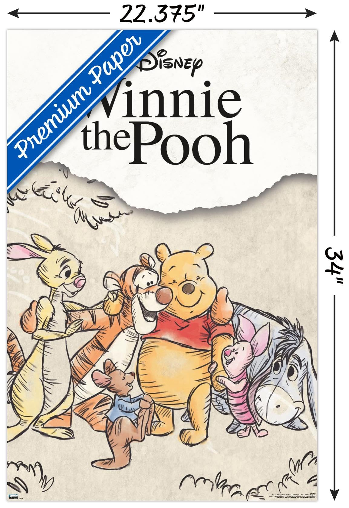 Amazon.com: Disney Winnie The Pooh - Group Sketch Wall Poster, 34L