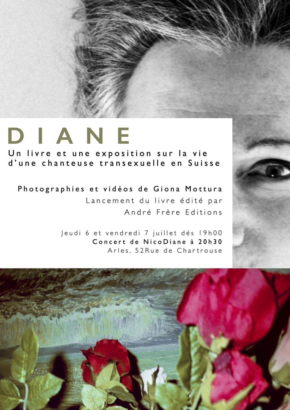 Diane sac en cuir premium aux finitions artisanales et design épuré luxueux
