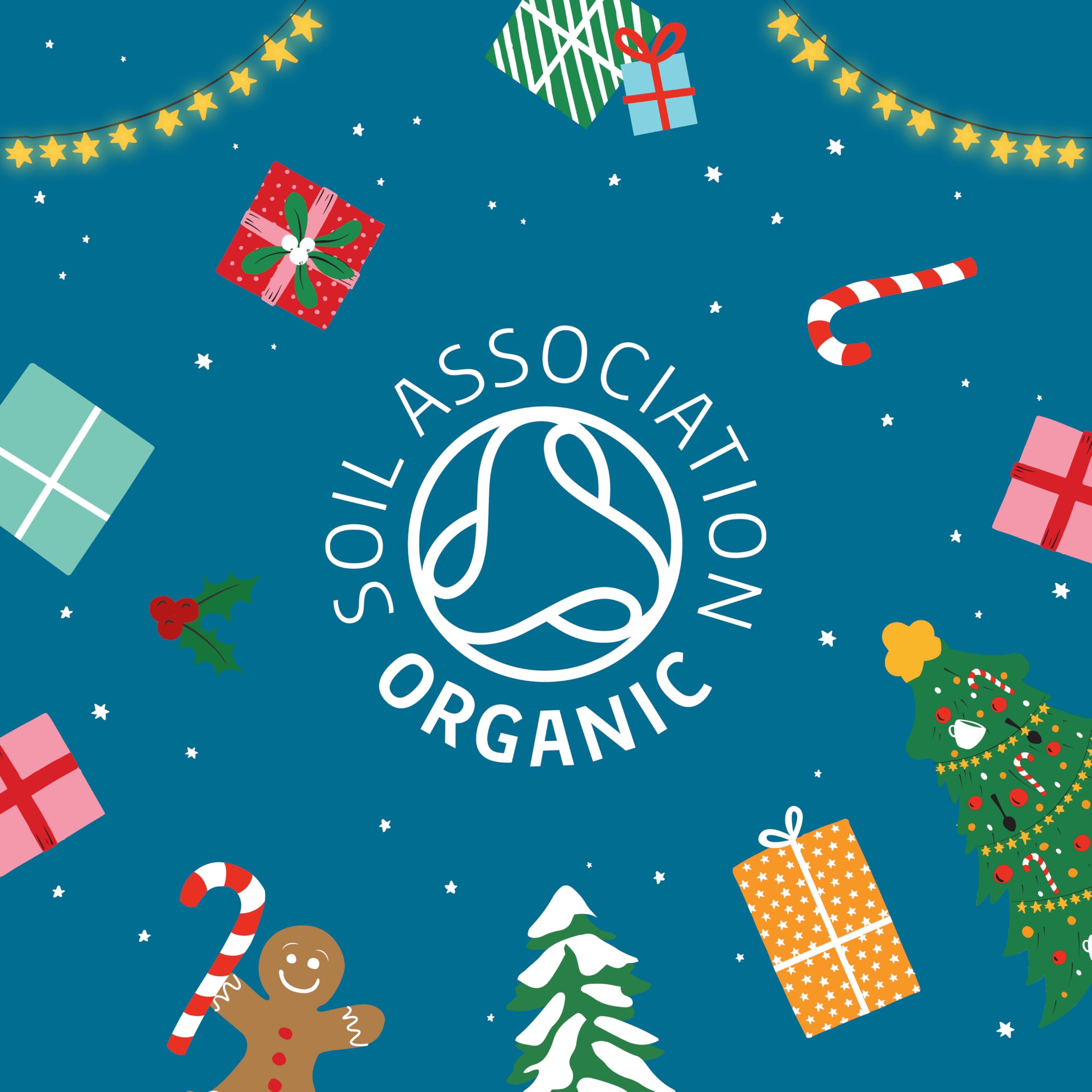 Cupper Calendario de Adviento Ecológico 24 Bolsitas de Infusiones y Tés 12 Variedades