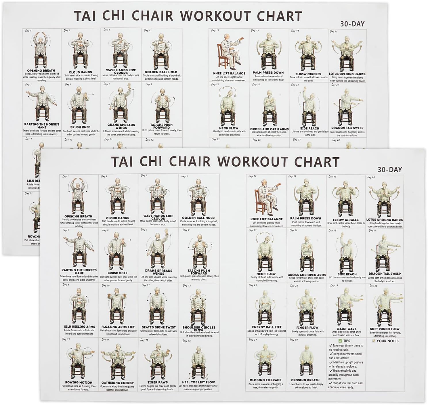 Muomdid 2 Pcs Tai Chi Chair Workout Poster for Seniors, 12x18 Seated Chart | 2 unframed canvas posters, 12 x 18 in, with seated Tai Chi moves for seniors and beginners at home.